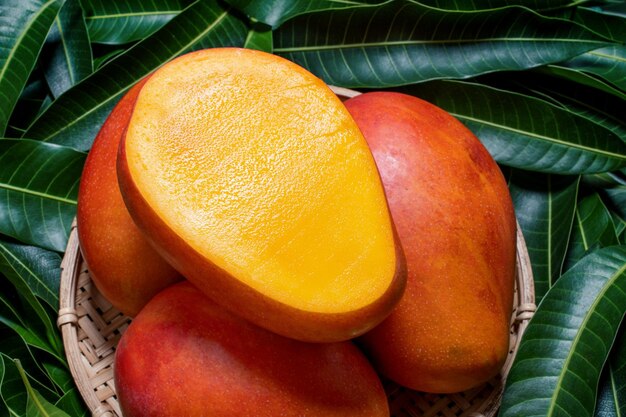 african mango